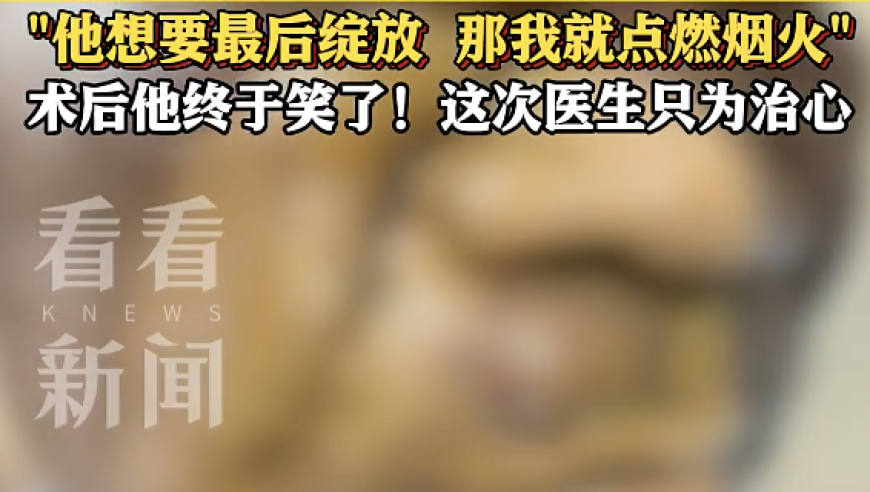 澳门水果奶奶正版资料,48800元神药被曝只是普通食品,机构预测与落实方法揭秘_至尊版V11.93